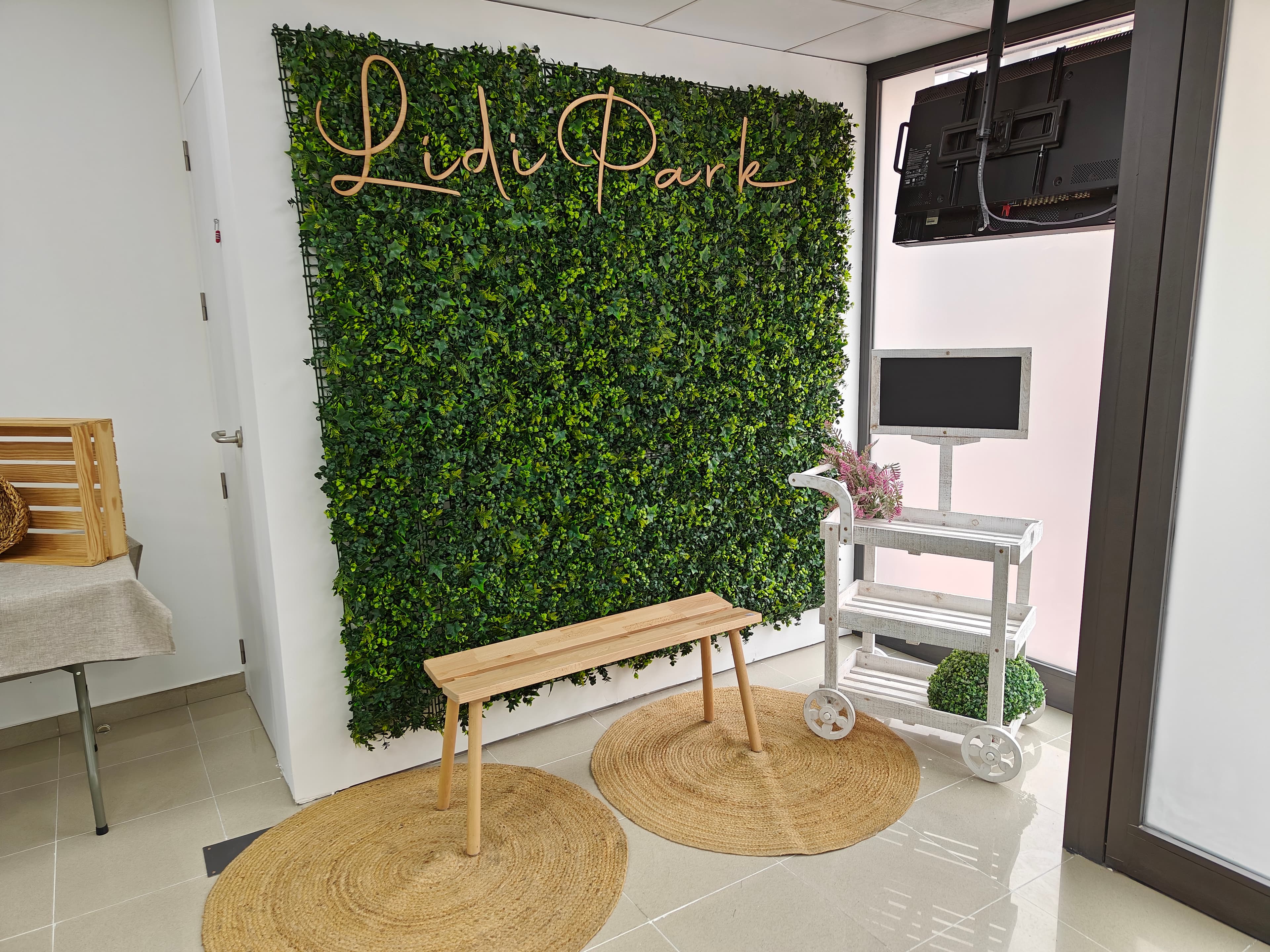 LidiPark colchonetas